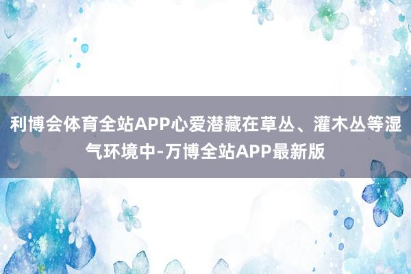 利博会体育全站APP心爱潜藏在草丛、灌木丛等湿气环境中-万博全站APP最新版