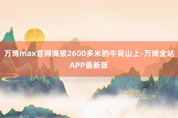 万博max官网海拔2600多米的牛背山上-万博全站APP最新版